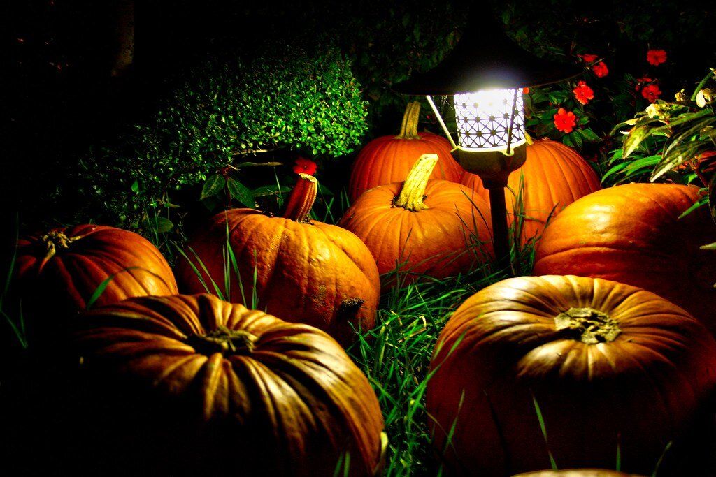 �������� � �������� ����: ��� ������� �� ���� ����������� ����