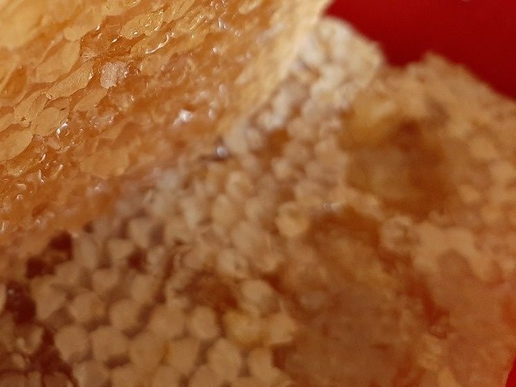 ����� �������� ����������, ��� ���������� ������������������ �� � ������