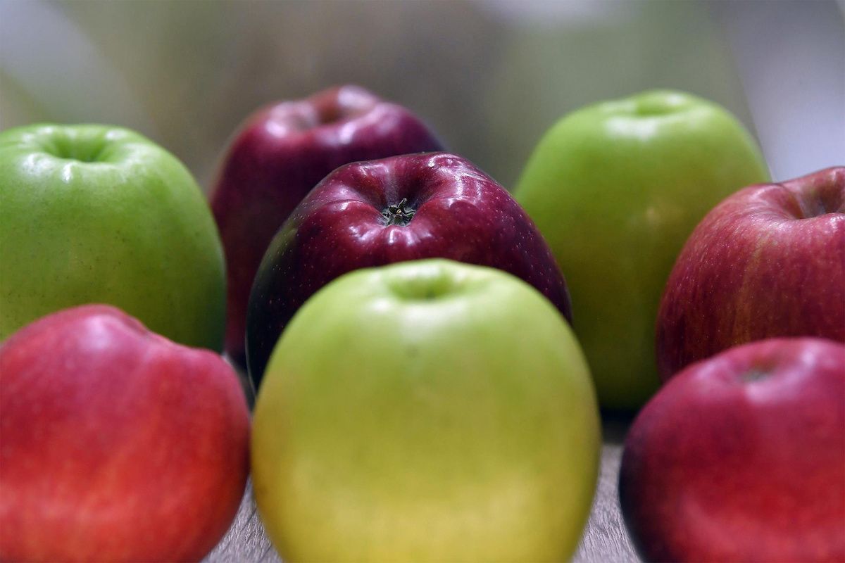 ������ ��� ������������ ������� � ������ � ��������