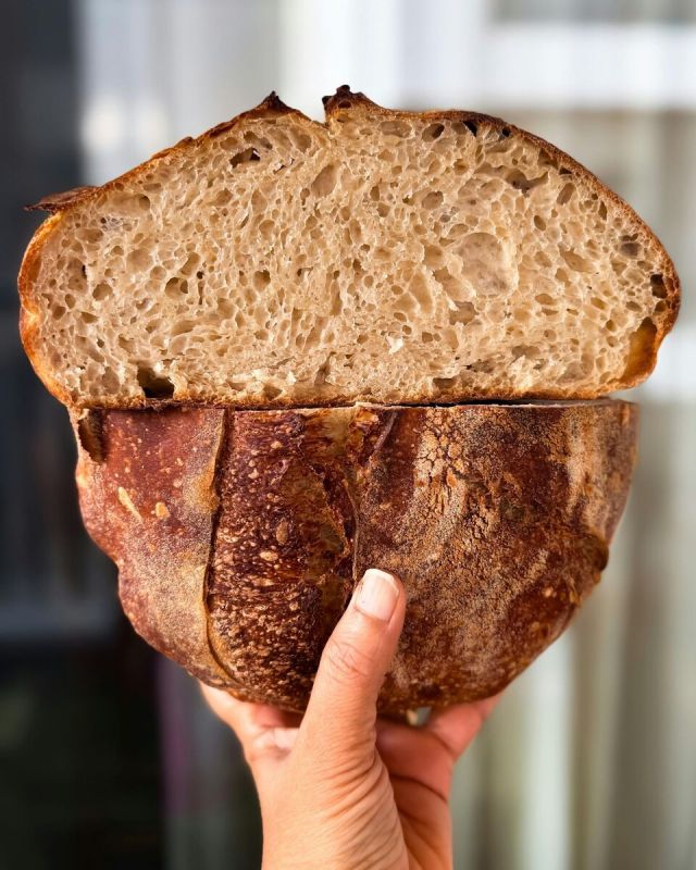 ��� ��������� ������ ���� ��������: ����� �������� ������