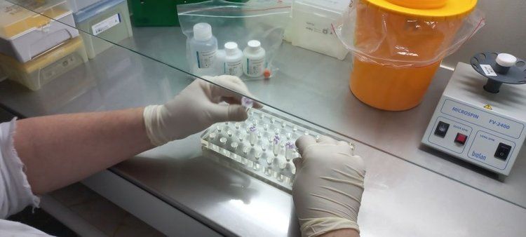 ���-����������� ���������: ����� ������� �������� �������� ������ � 2025 ����