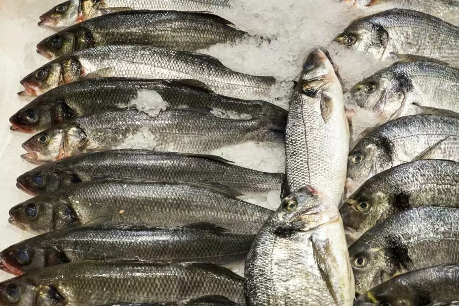 Куда уходит российская рыба: неожиданные покупатели и рост экспорта