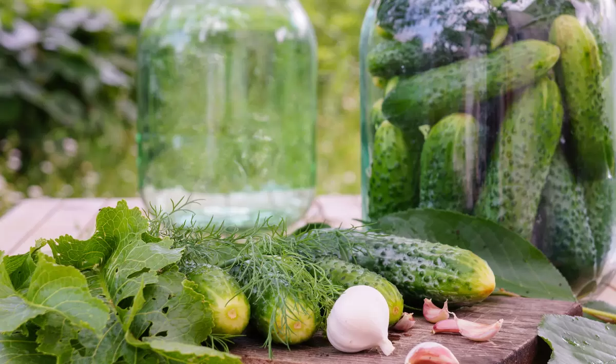 Пьяные огурцы: секреты успешной зимней заготовки