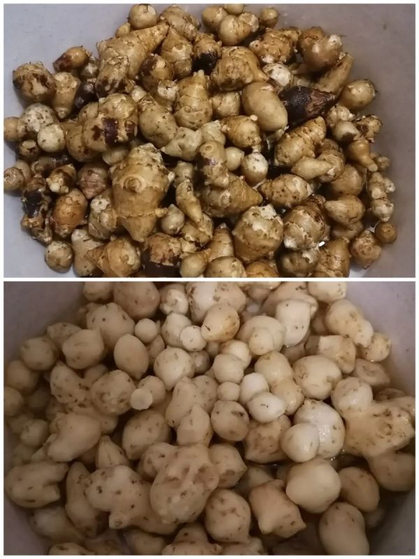 ����� �� �����������: ������ � �������