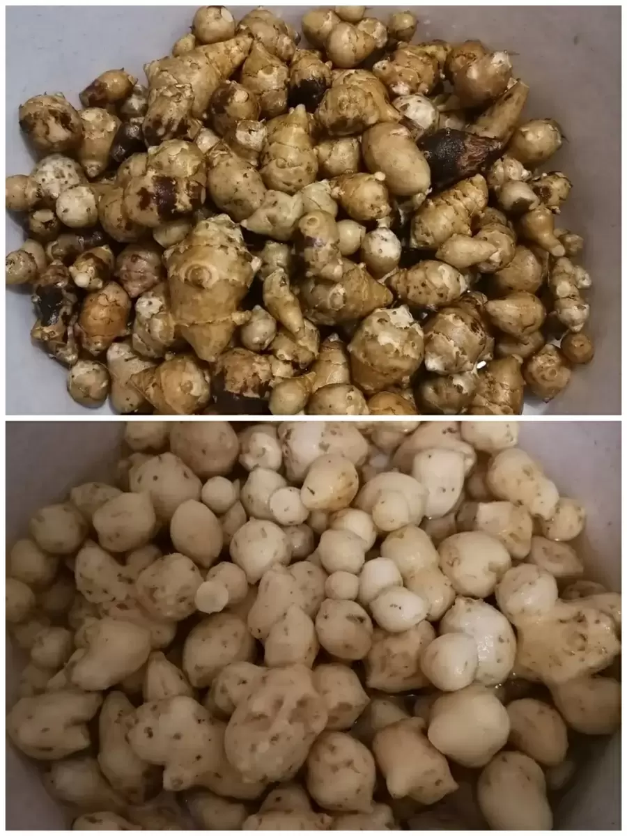 Чипсы из топинамбура: вкусно и полезно