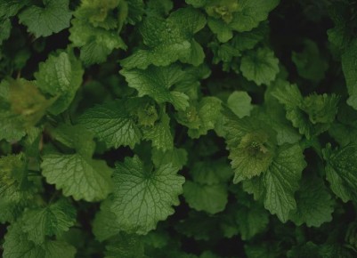 ��������� �����: 5 ����� ����������� �������� � �������� �������