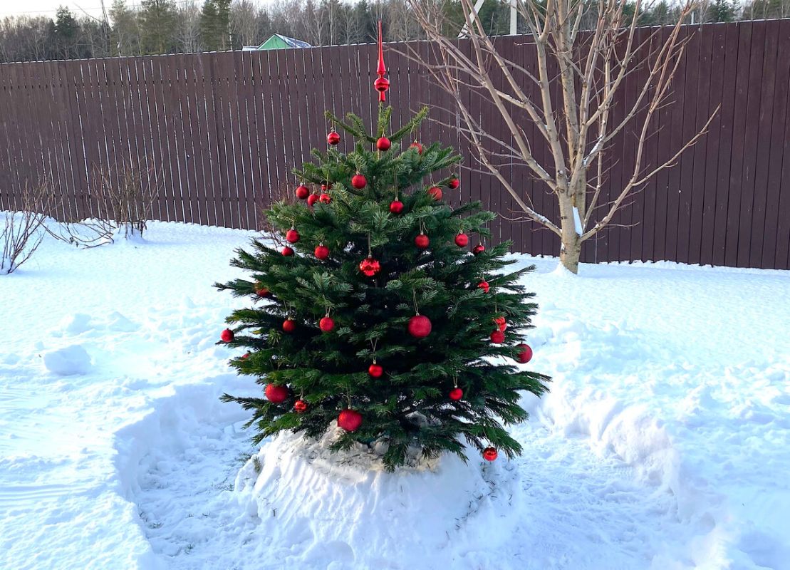 ������� ���������� � ����������� �����: ��� �������� ����������� �����