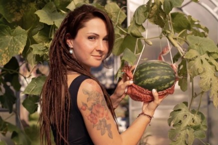 ������� ��������� ����������� ������� � �����������