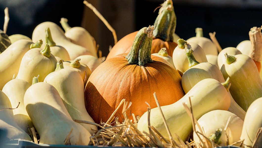 ��������� ������ �������: ��������, ������� � ������������