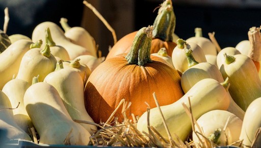 ��������� ������ �������: ��������, ������� � ������������