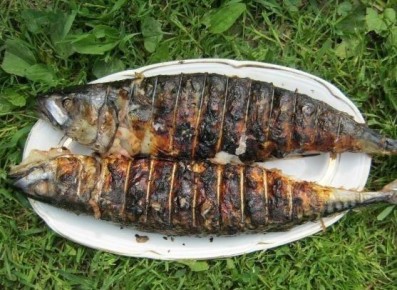 ��������� �����: ��� ����������� �������� � ��������� ����� �� �����