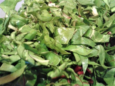 ������ ������� � ����������: ������ ����� ��� ������ ����