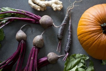 ������� ������� ������: ��������, ������� ������� ���