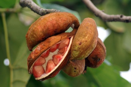 ����� ����: ������ ���� ������������ ���������� ������� ������� ������� �������