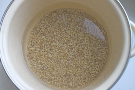 ����������� ����� � �������� ������: ������ � ��������