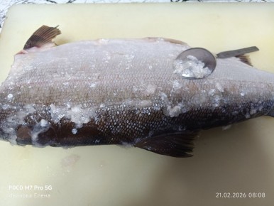 ������� ���� � ������� �� �������������