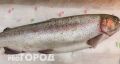 Непревзойденный способ чистки рыбы с уксусом от бабушки